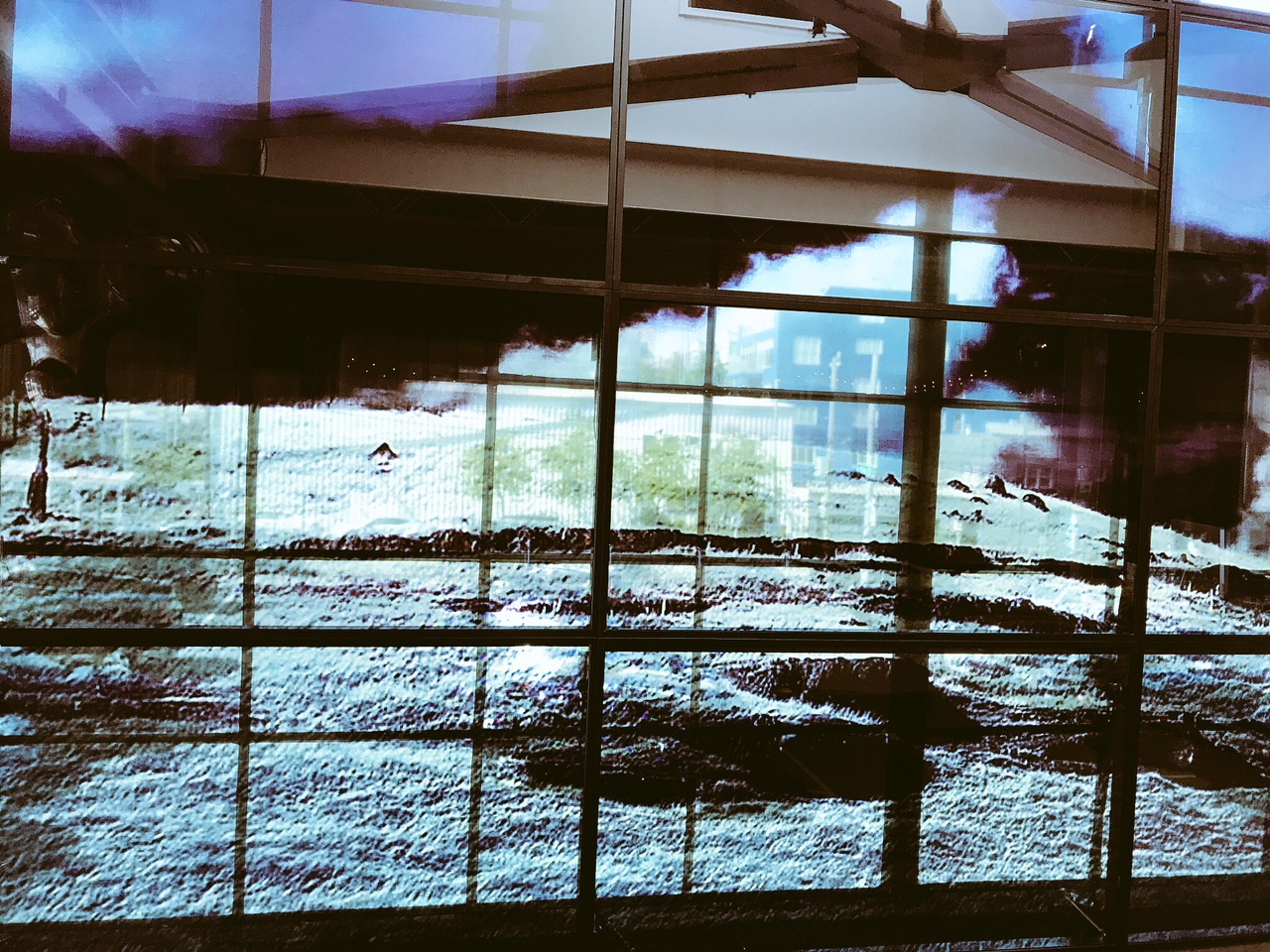 Visual Science image