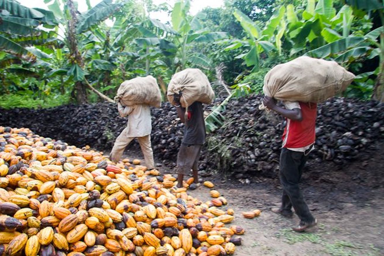 Modern Slavery: Are We Doing Everything We Can? image