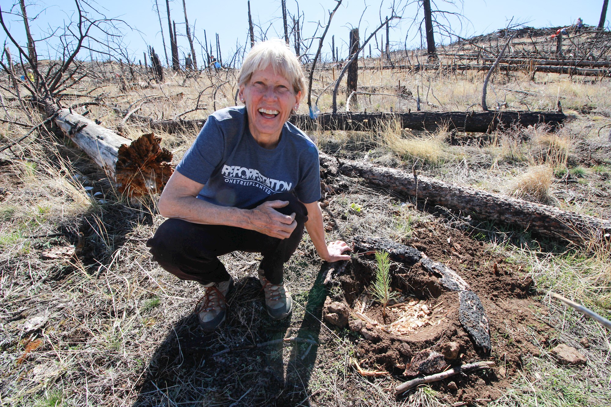 One Tree Planted image