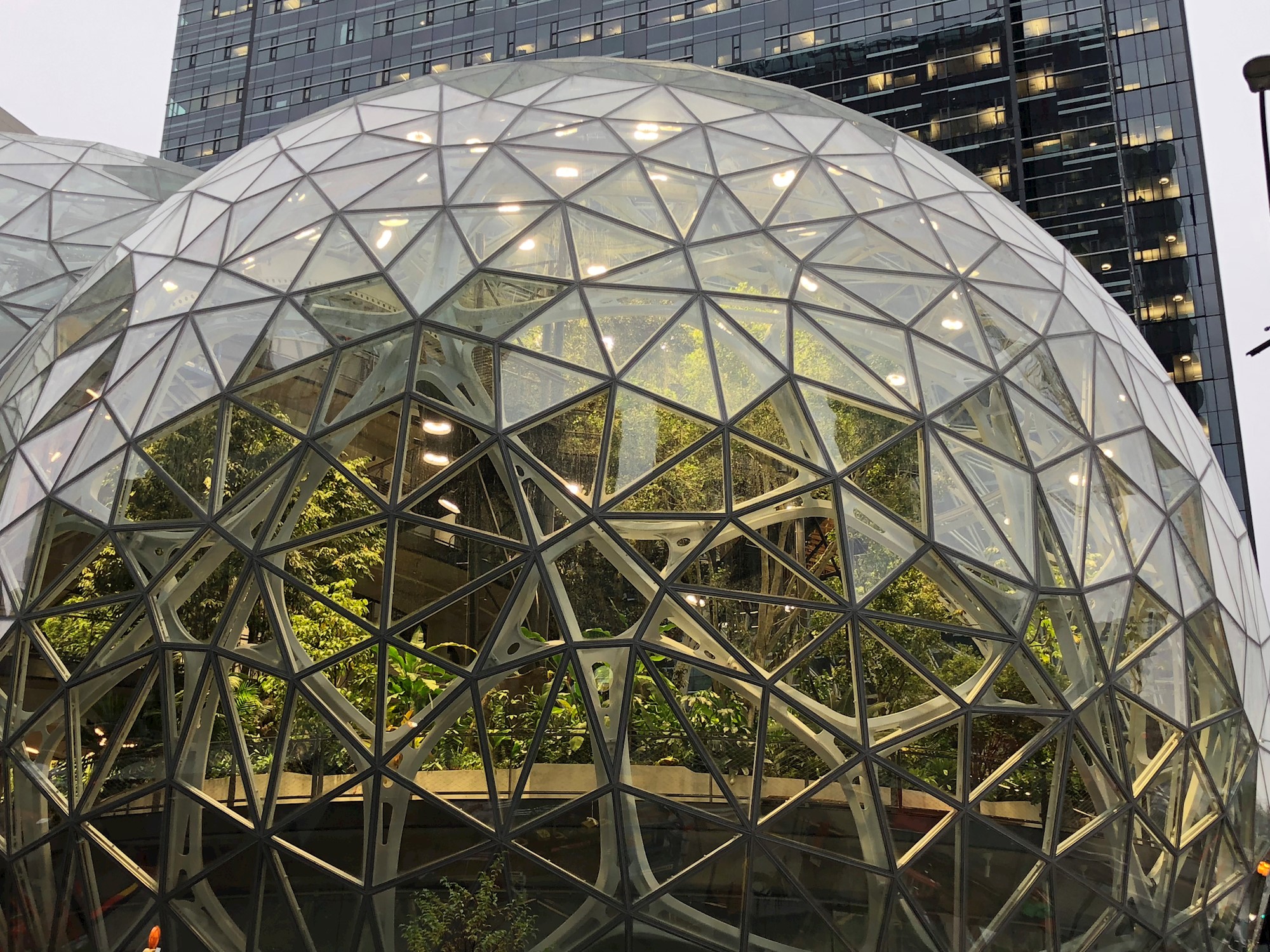 Amazon Seattle image